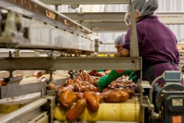 Food Industry - Woman Cleaning Sweet Potatoes